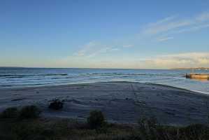 PAPAMOA(001)